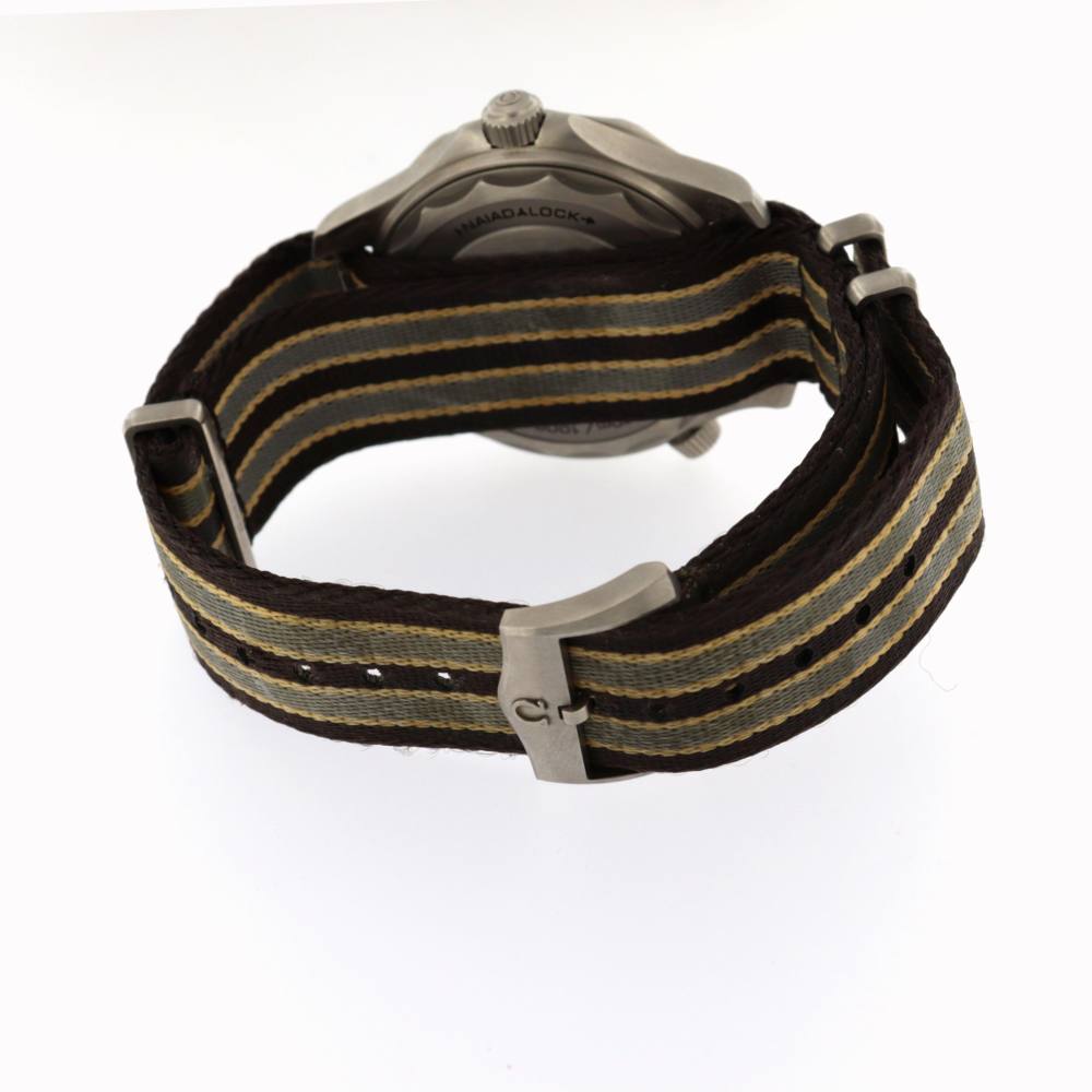 Omega Seamaster 21092422001001