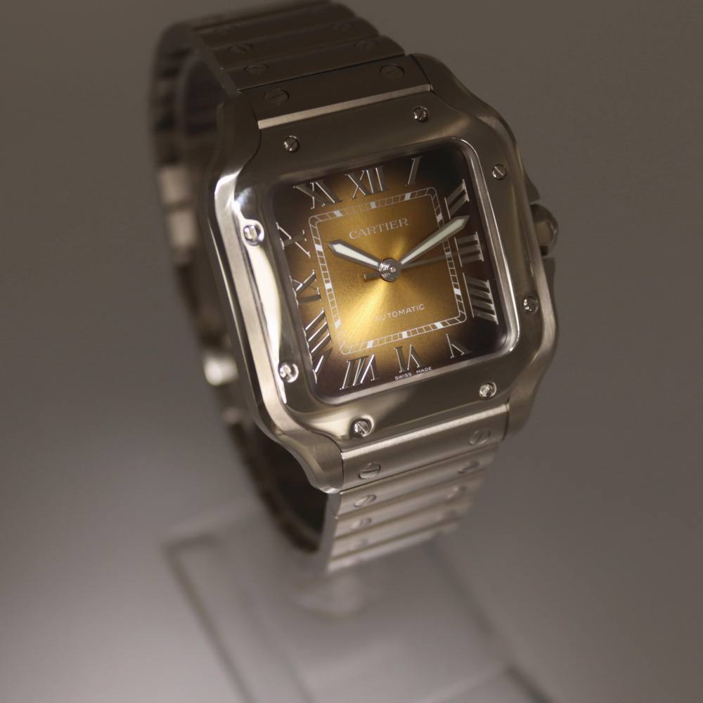 Cartier Santos WSSA0065