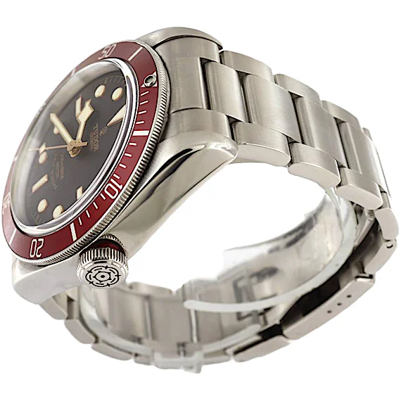 Tudor Black Bay 79220R Tudor Black Bay 79220R