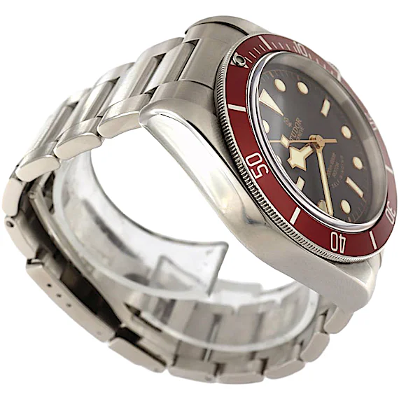 Tudor Black Bay 79220R Tudor Black Bay 79220R