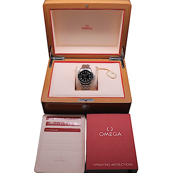 Omega Seamaster 212.30.41.20.01.003 Omega Seamaster 212.30.41.20.01.003