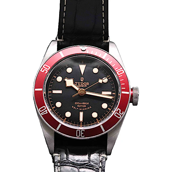 Tudor Black Bay 79220R Tudor Black Bay 79220R