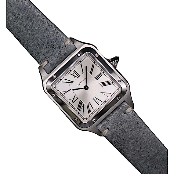 Cartier Santos WSSA0022 Cartier Santos WSSA0022