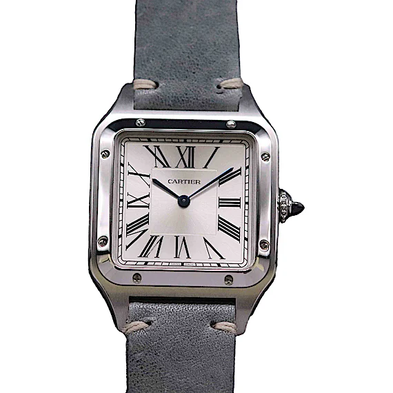 Cartier Santos WSSA0022 Cartier Santos WSSA0022