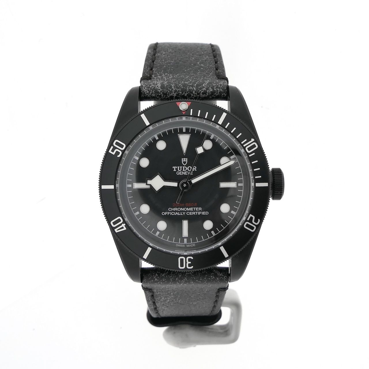Tudor Black Bay 79230DK