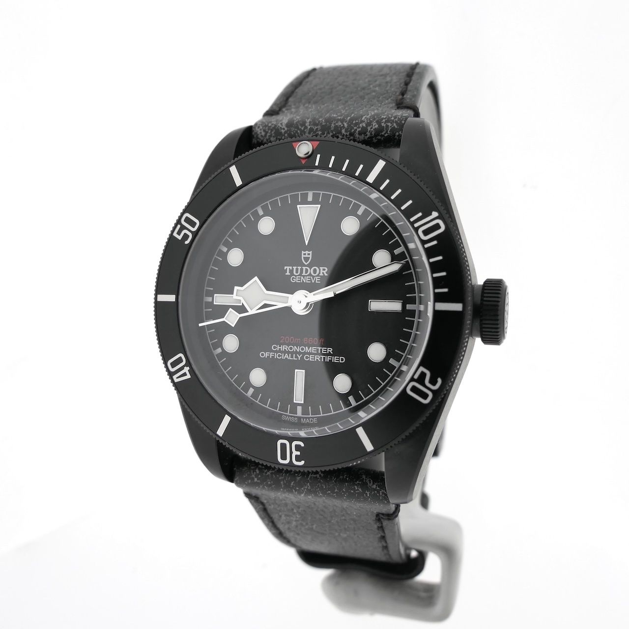 Tudor Black Bay 79230DK