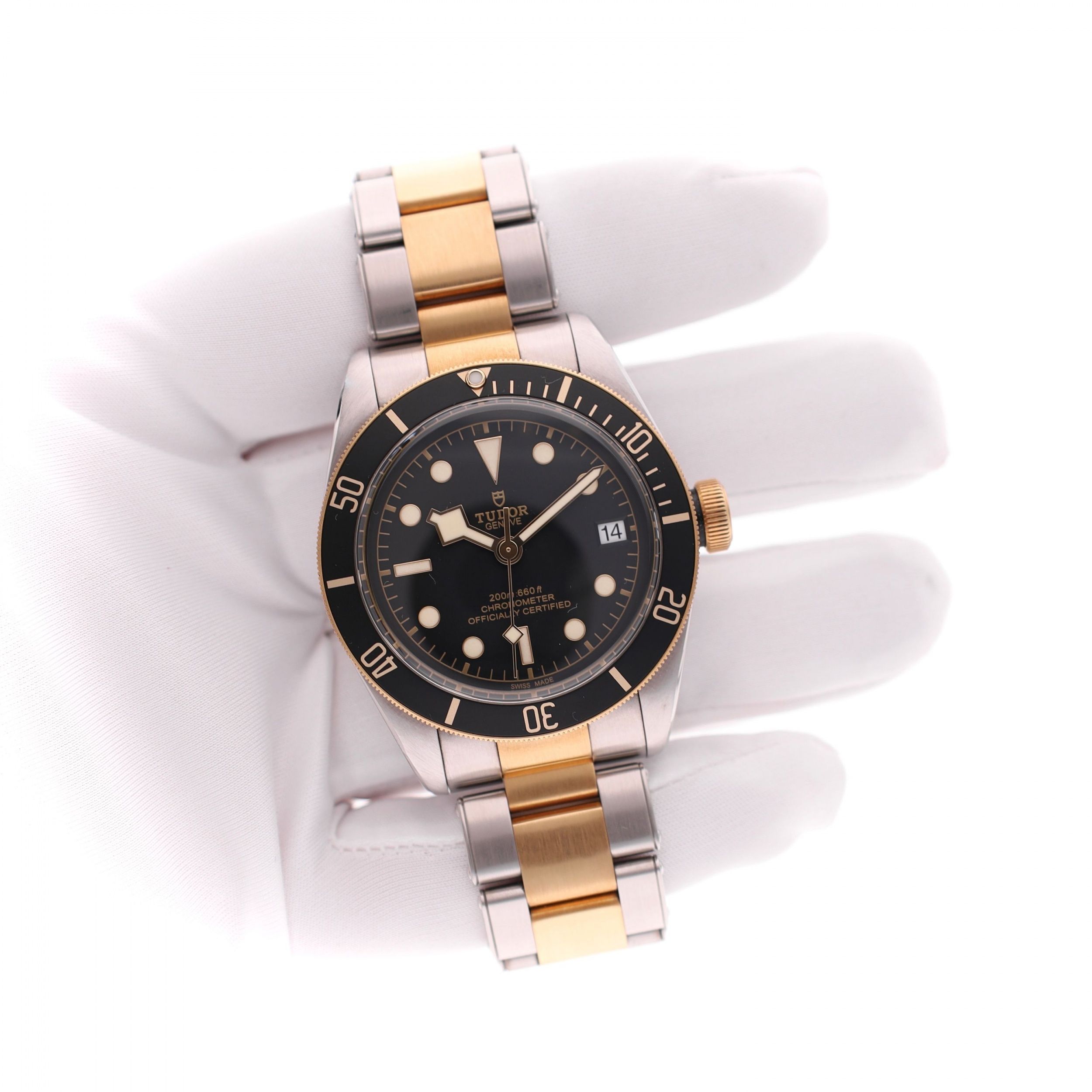Tudor Black Bay 79733N-0008