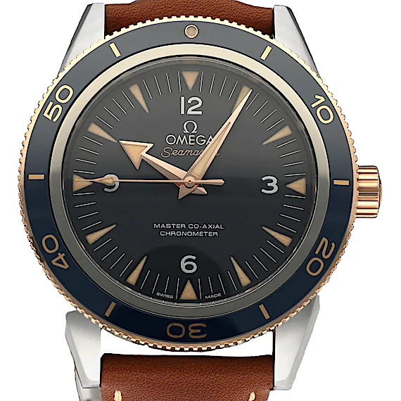 Omega Seamaster 233.62.41.21.03.001 Omega Seamaster 233.62.41.21.03.001