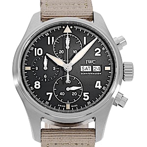 IWC Pilot's Watch IW387901 IWC Pilot's Watch IW387901