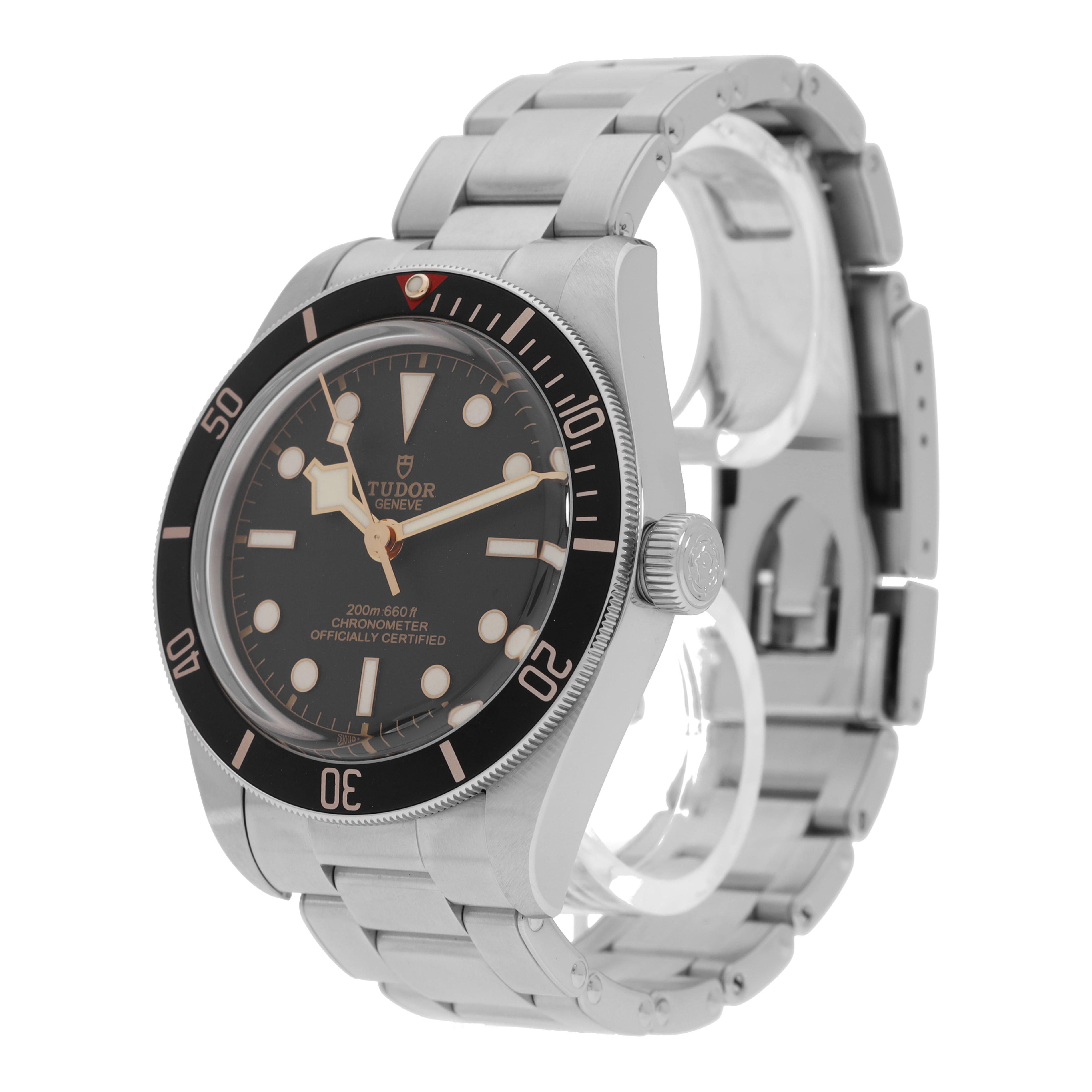 Tudor Black Bay 79030N