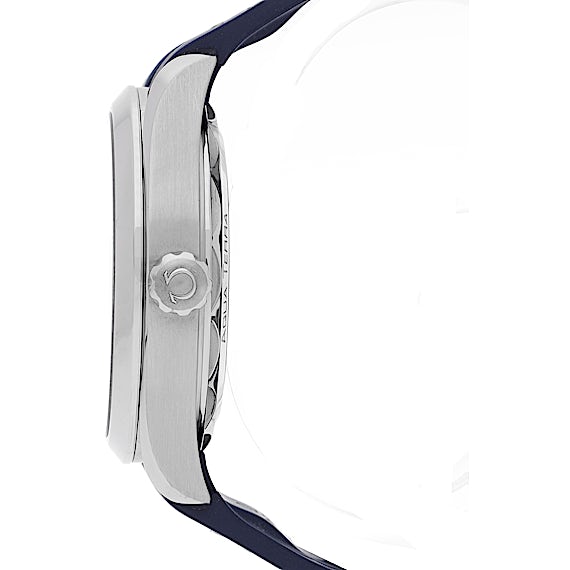 Omega Seamaster 220.12.41.21.06.001 Omega Seamaster 220.12.41.21.06.001