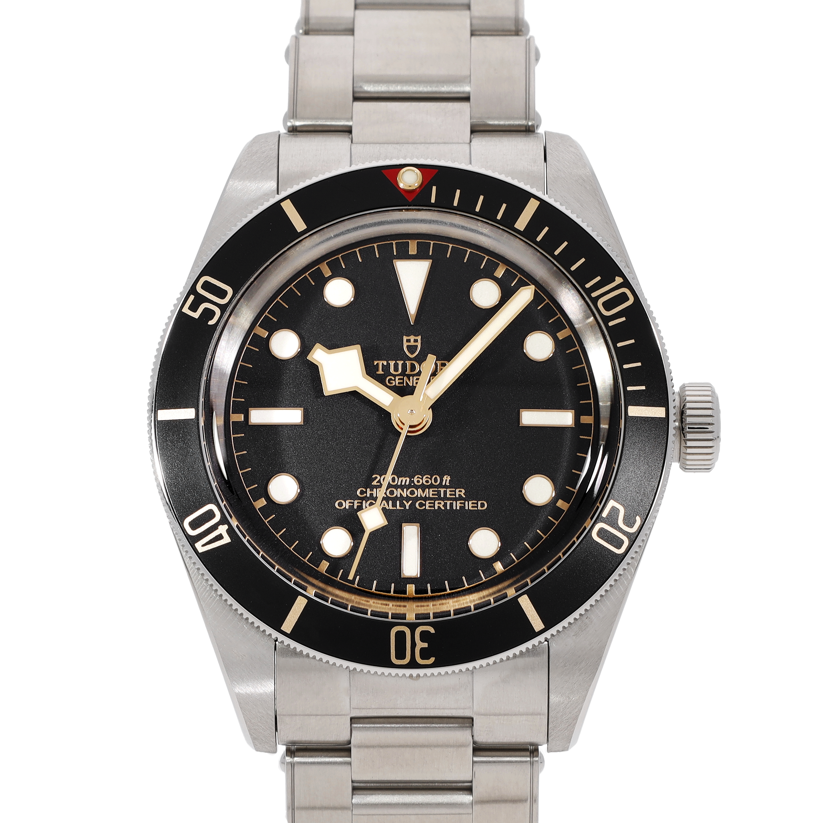 Tudor Black Bay M79030N-0001