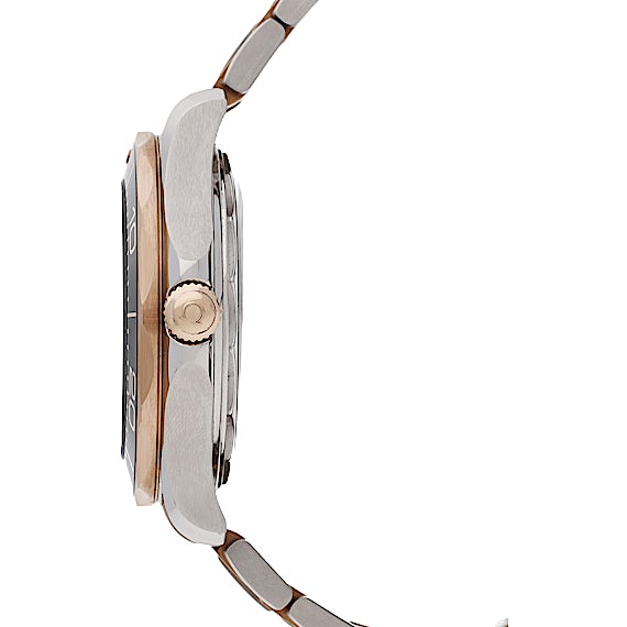 Omega Seamaster 210.20.42.20.01.001 Omega Seamaster 210.20.42.20.01.001