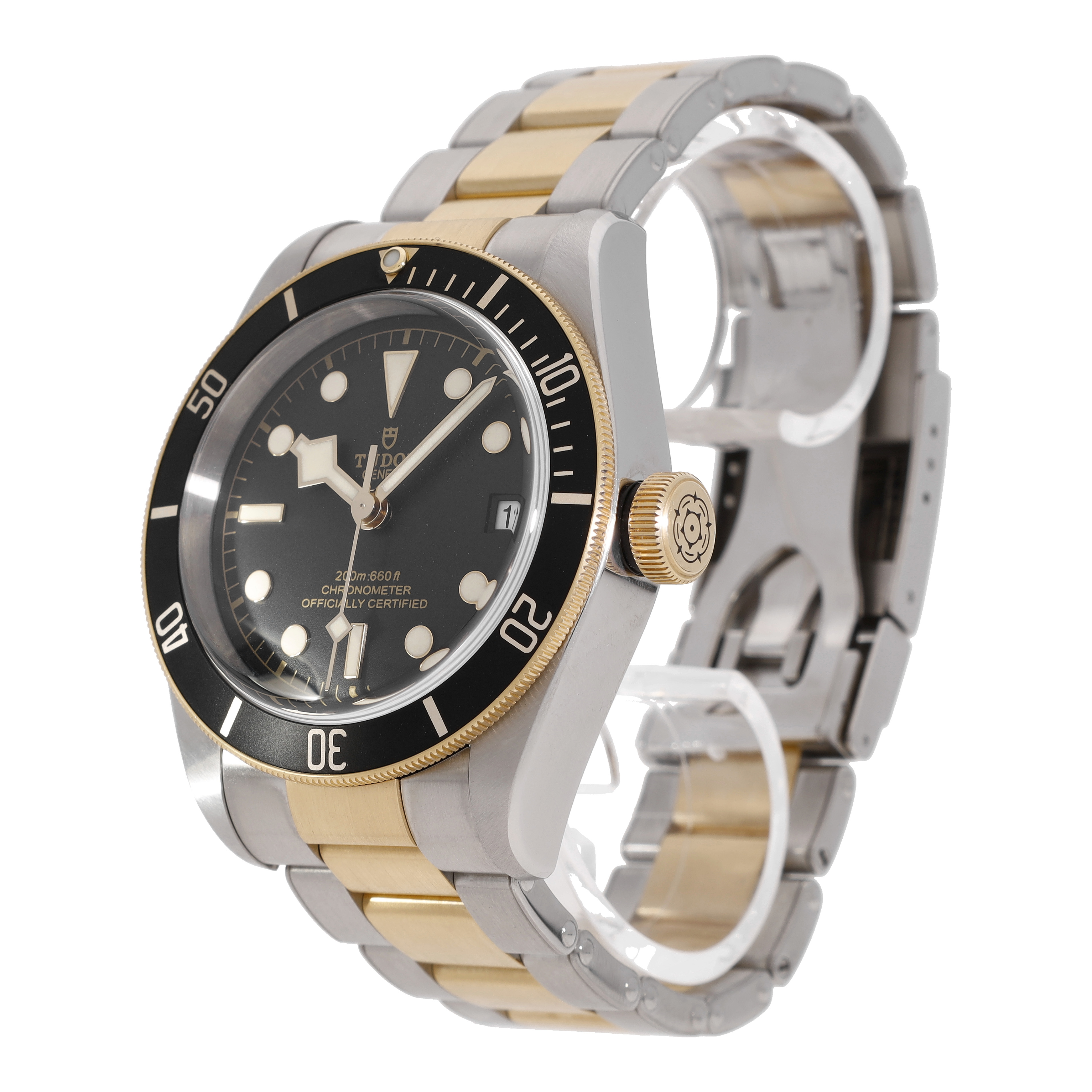 Tudor Black Bay 79733N
