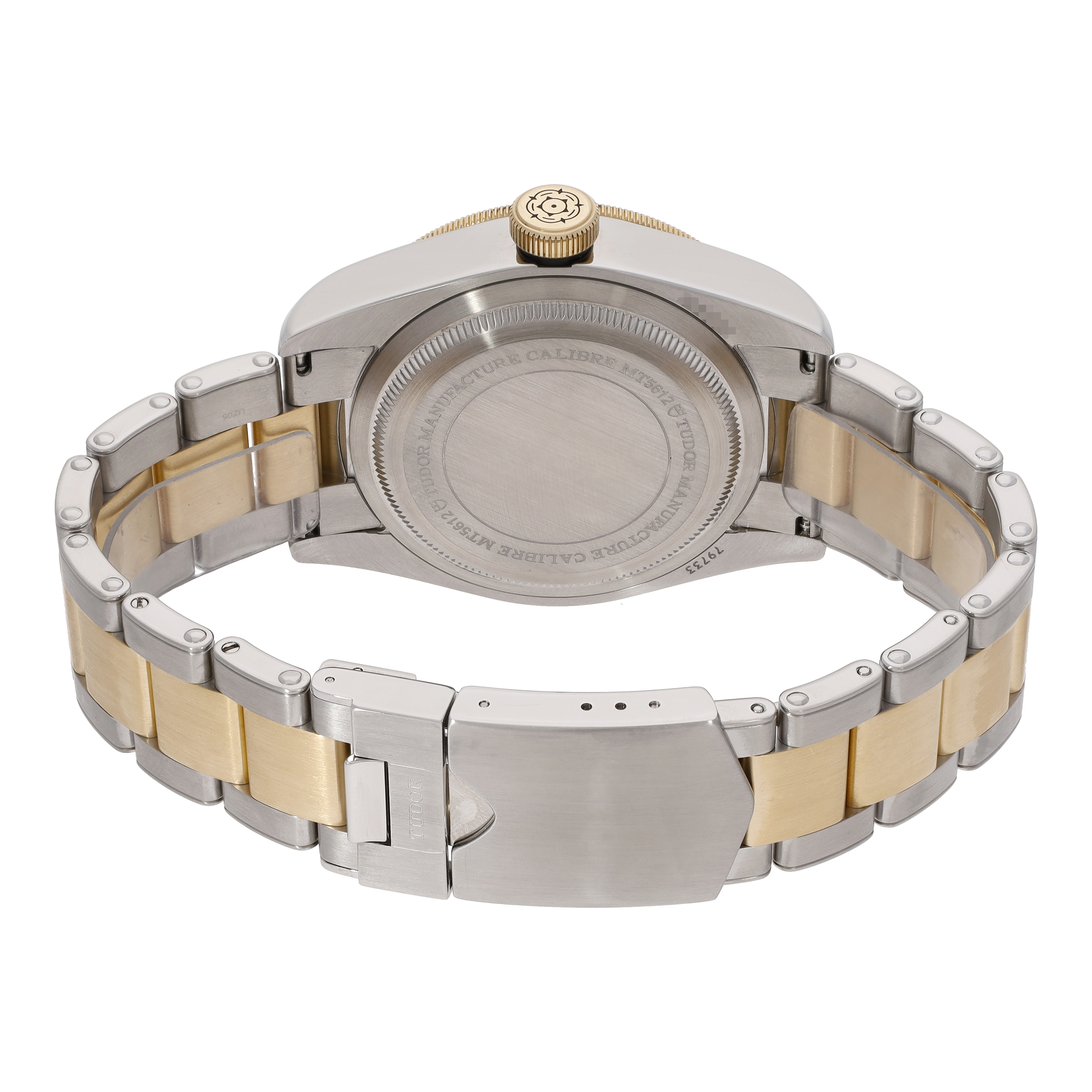 Tudor Black Bay 79733N