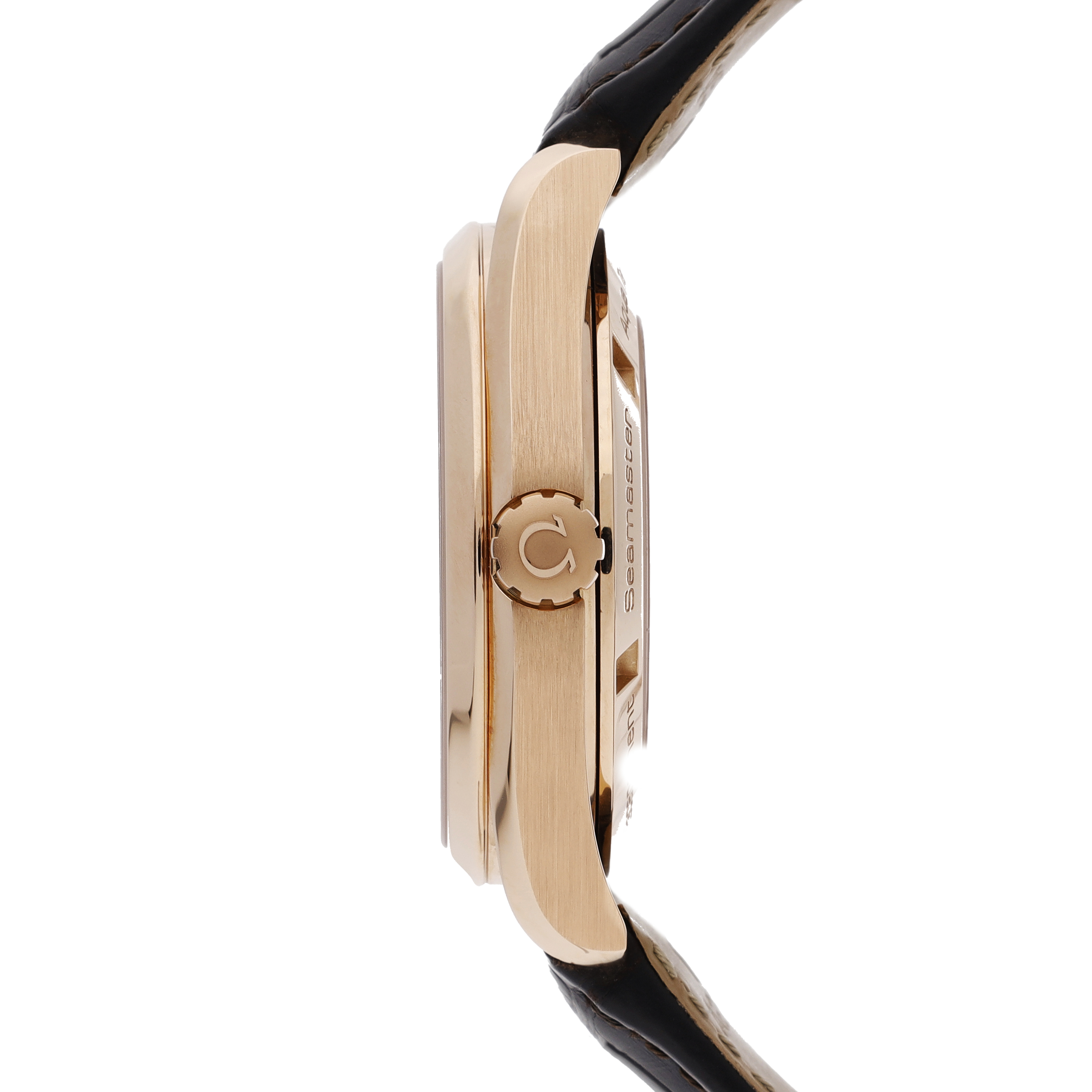 Omega Seamaster 231.53.42.21.06.001