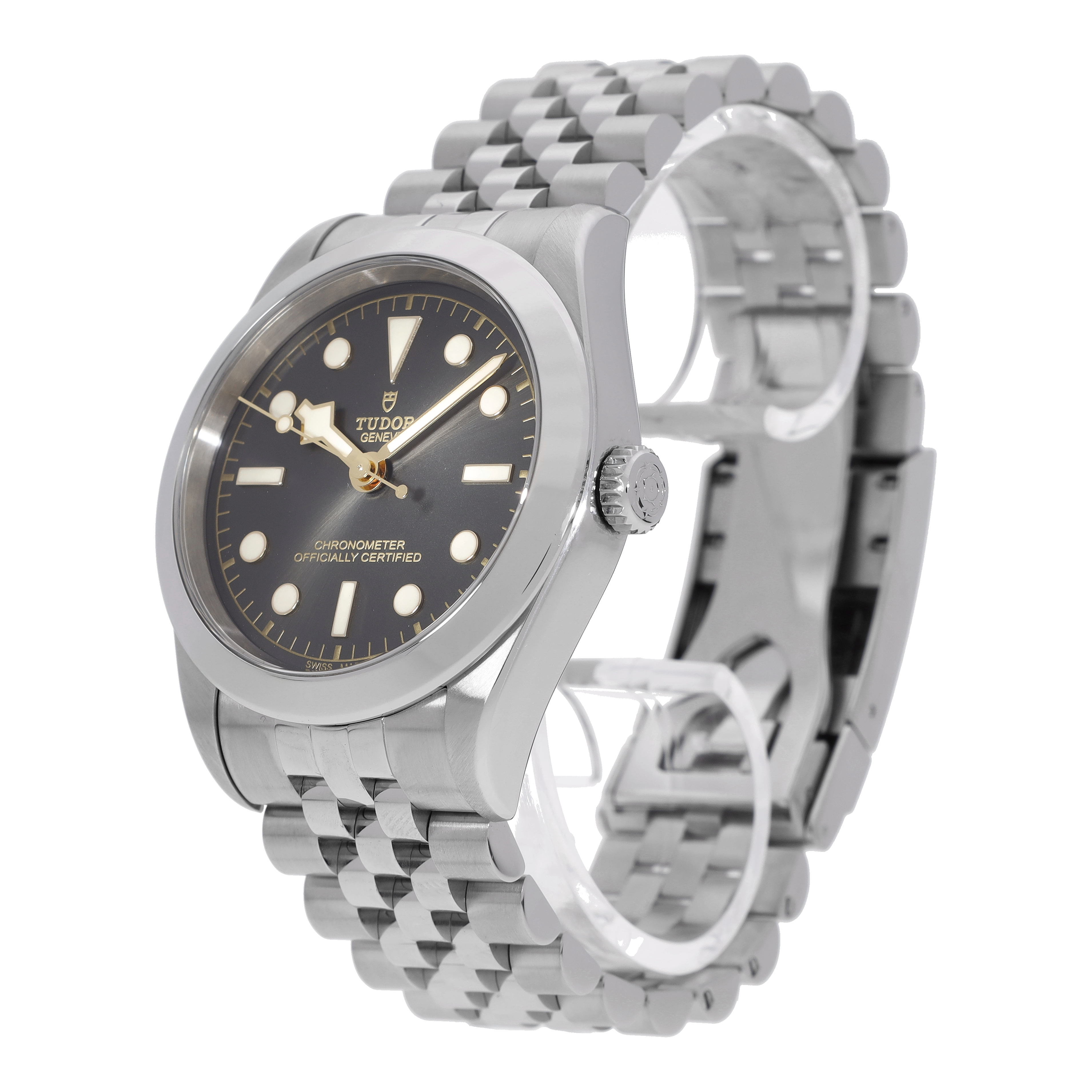 Tudor Black Bay 79830RB