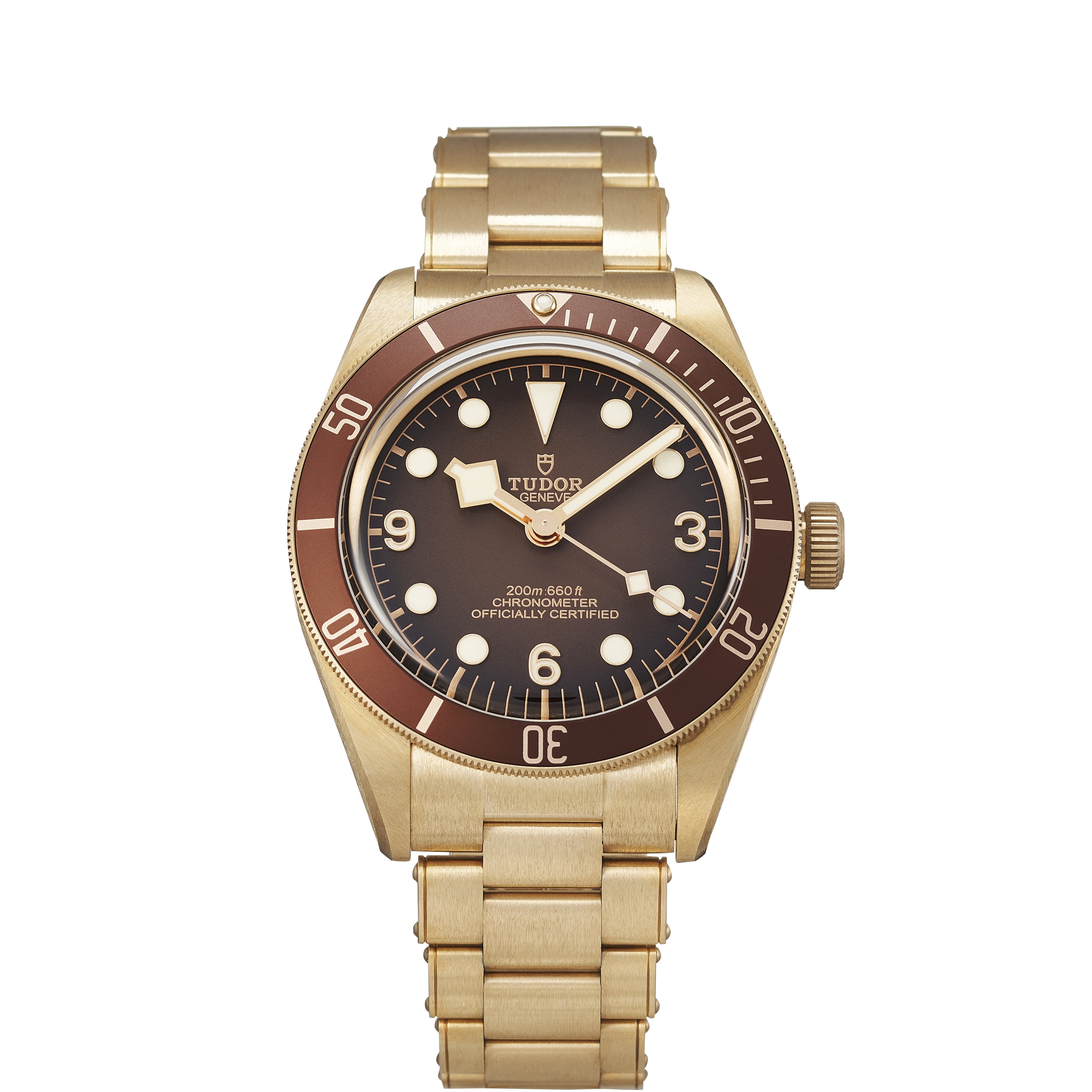 Tudor Black Bay 79012M