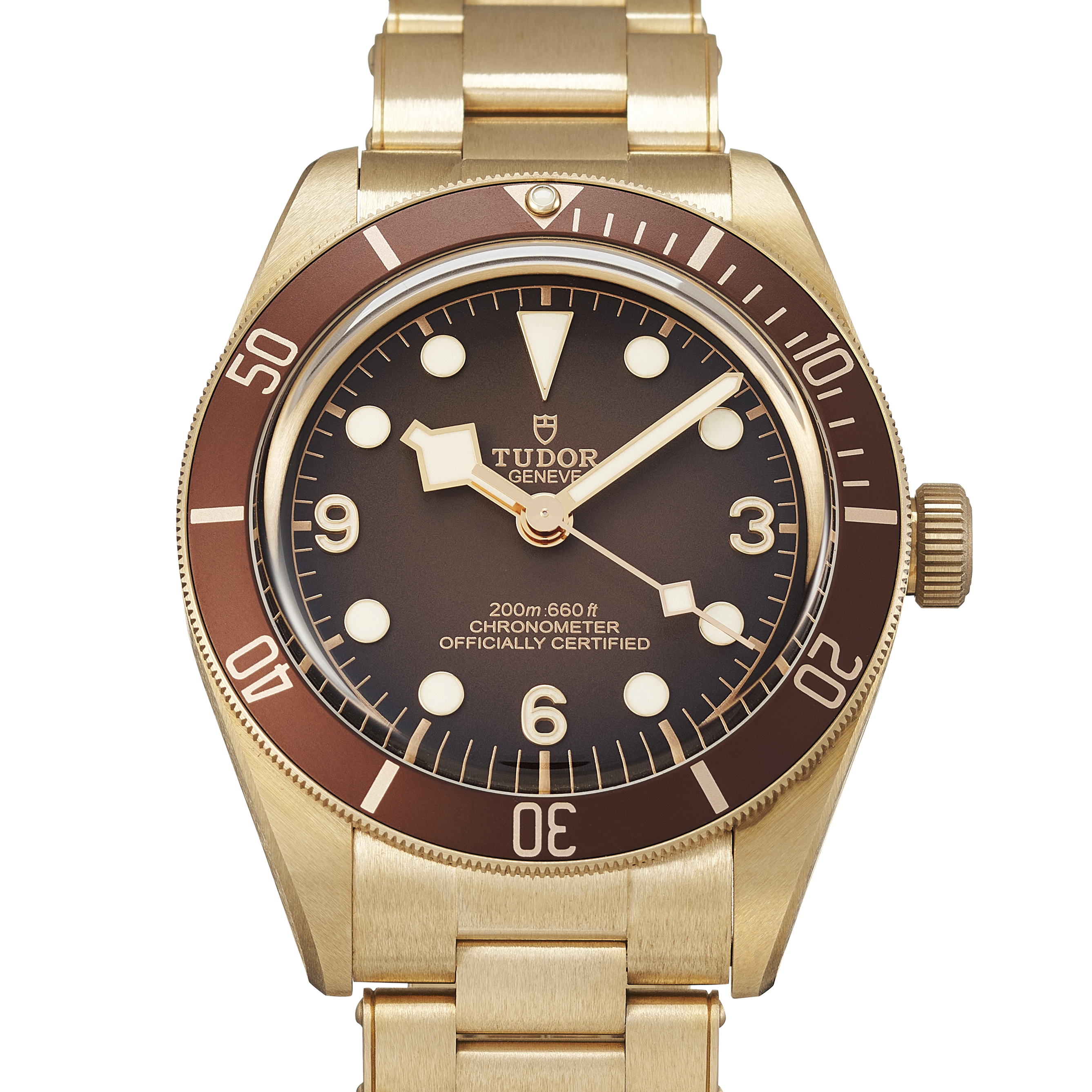 Tudor Black Bay 79012M