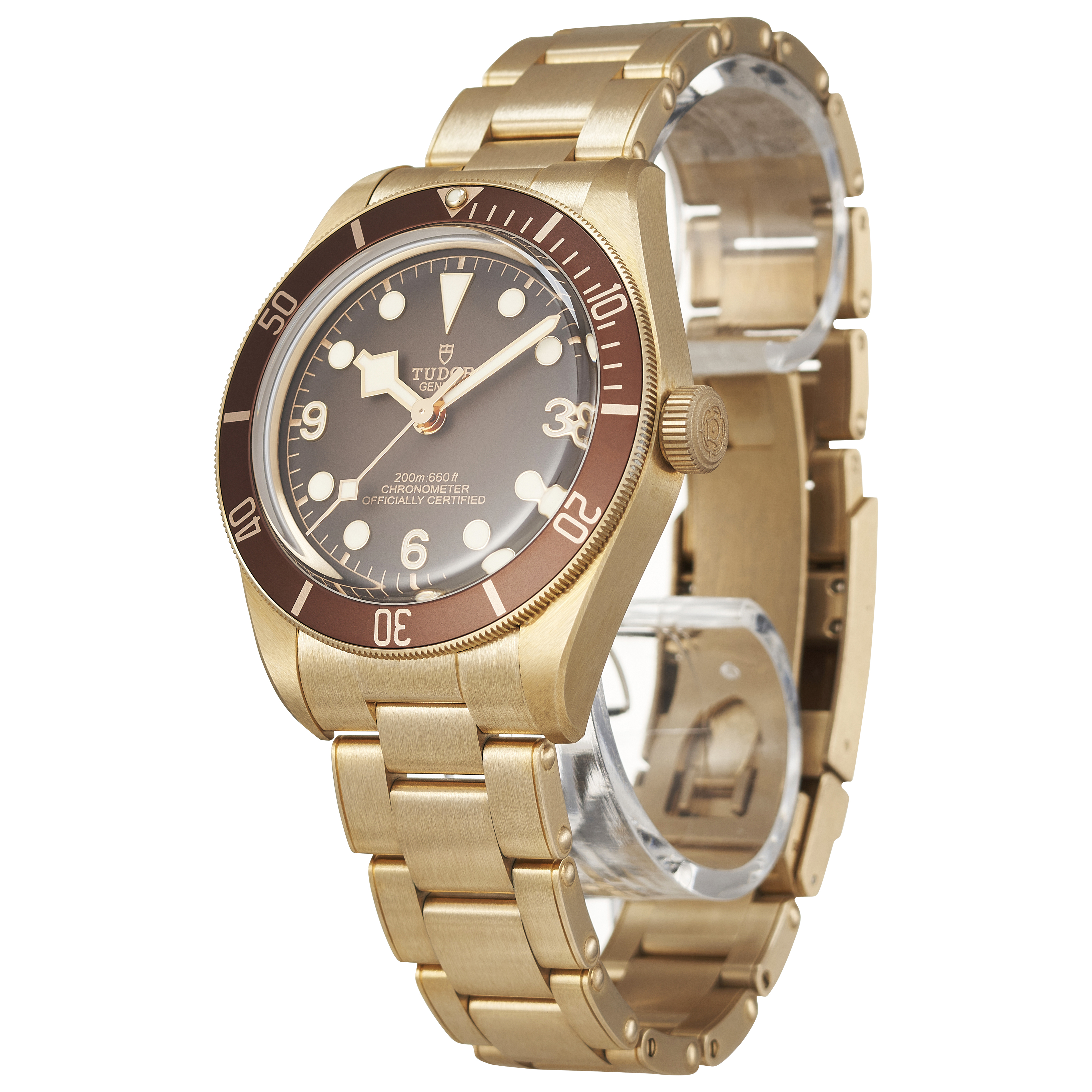 Tudor Black Bay 79012M