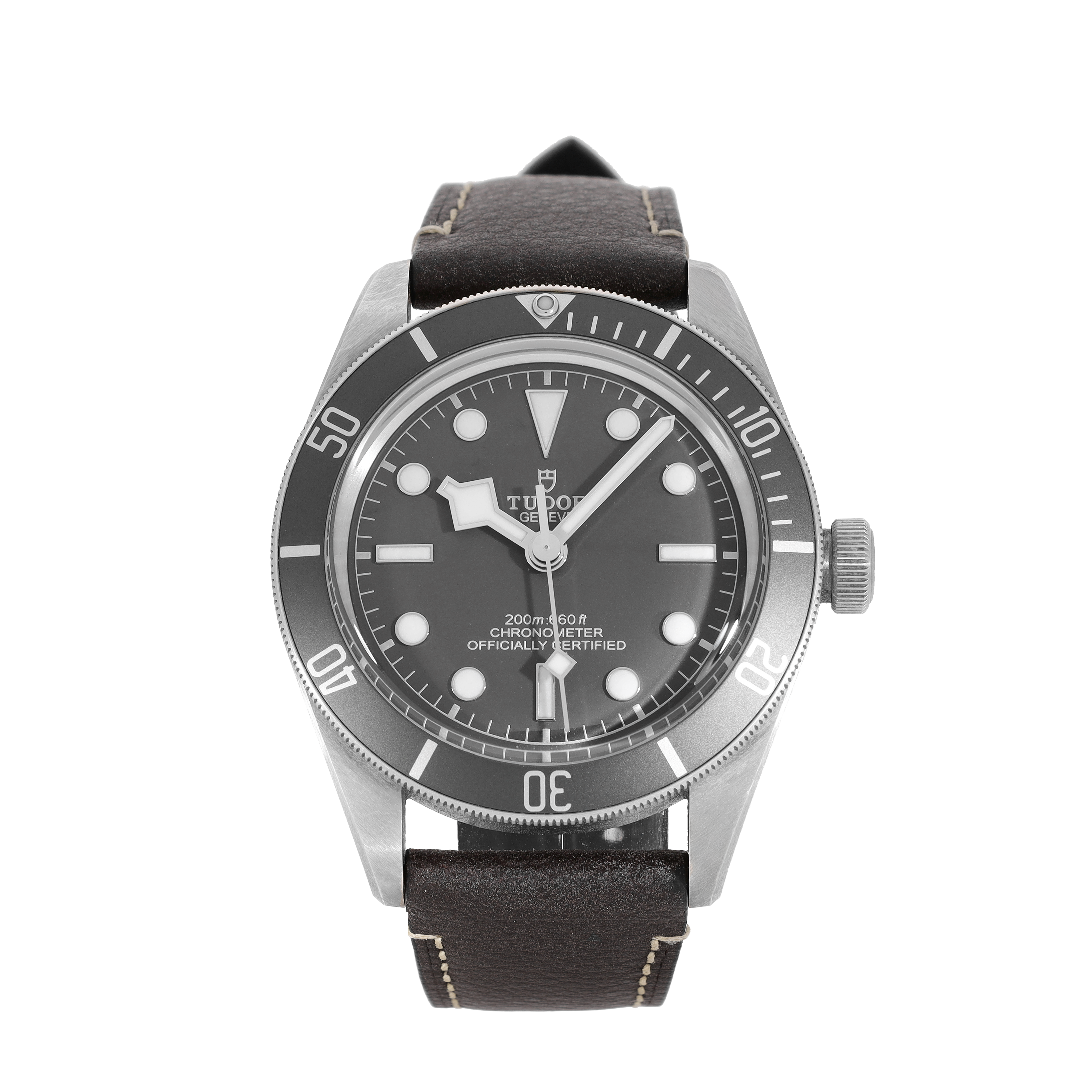 Tudor Black Bay M79010SG-0001