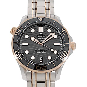 Omega Seamaster 210.20.42.20.01.001 Omega Seamaster 210.20.42.20.01.001
