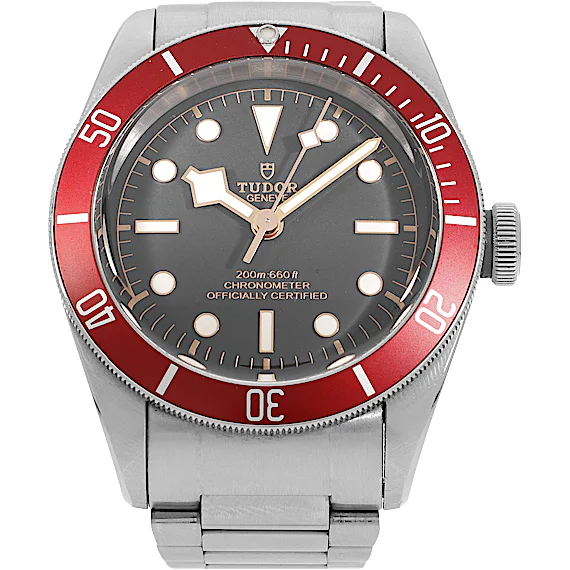 Tudor Black Bay 79230R Tudor Black Bay 79230R