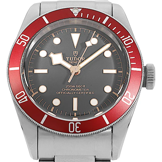 Tudor Black Bay 79230R Tudor Black Bay 79230R