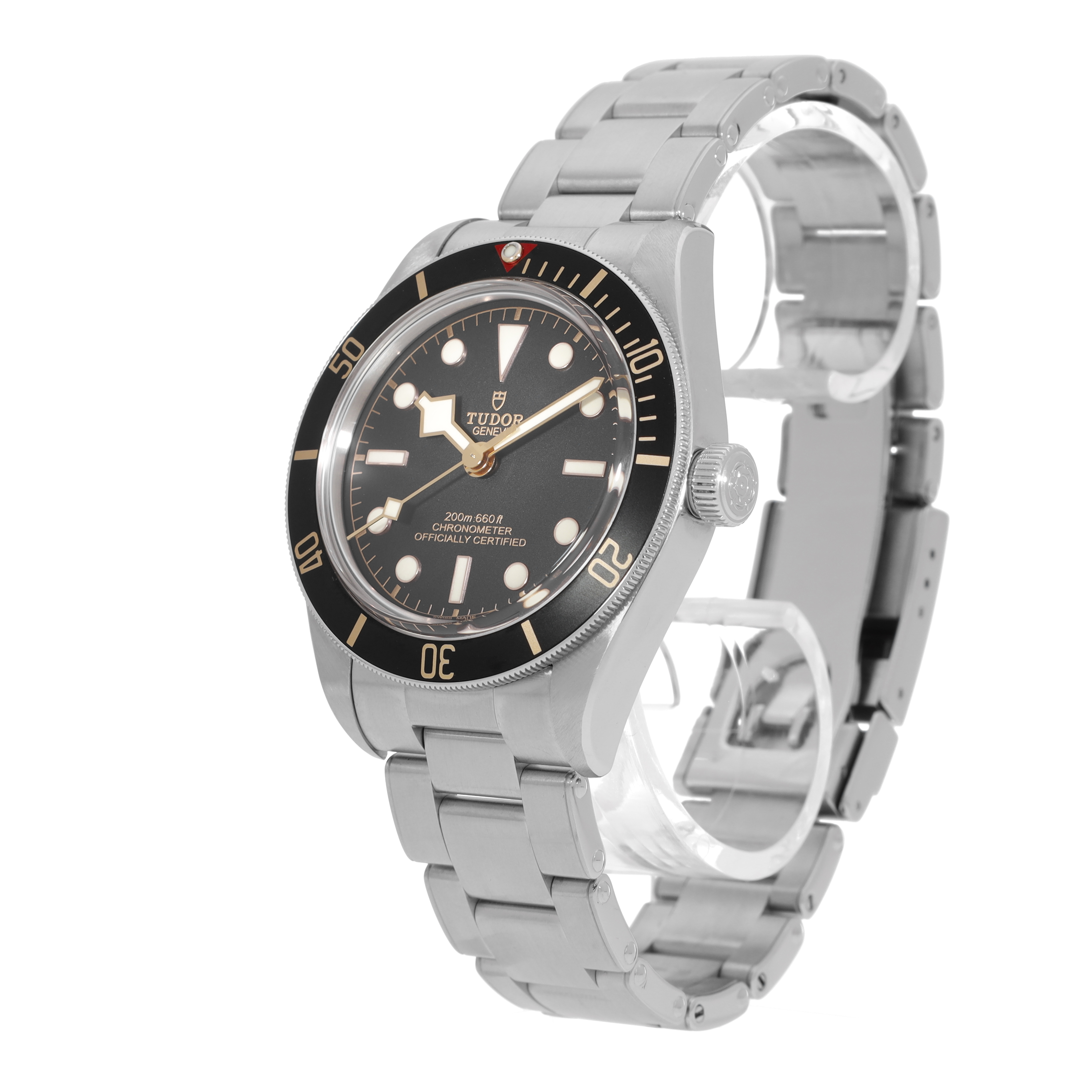 Tudor Black Bay M79030N