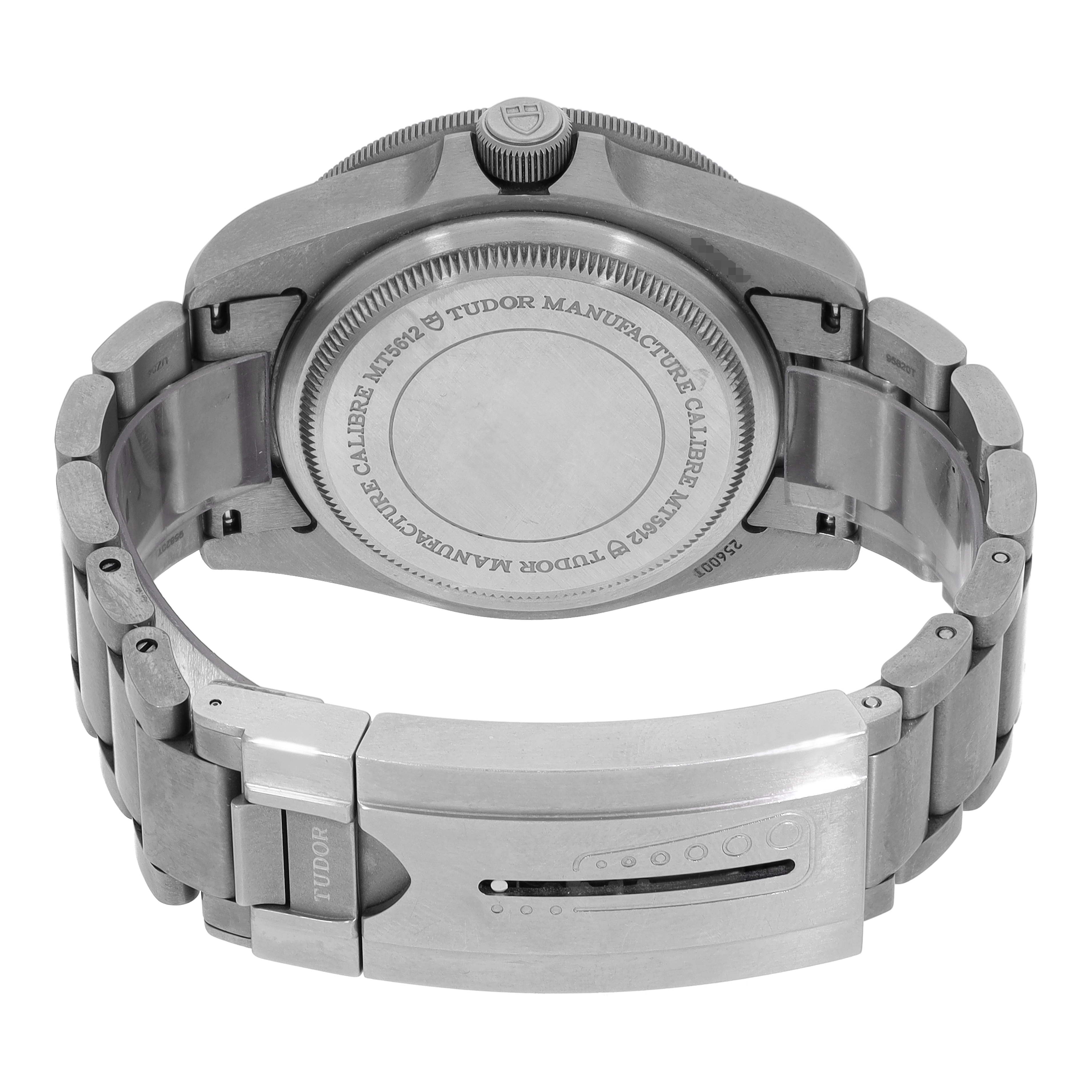 Tudor Pelagos 25600TN