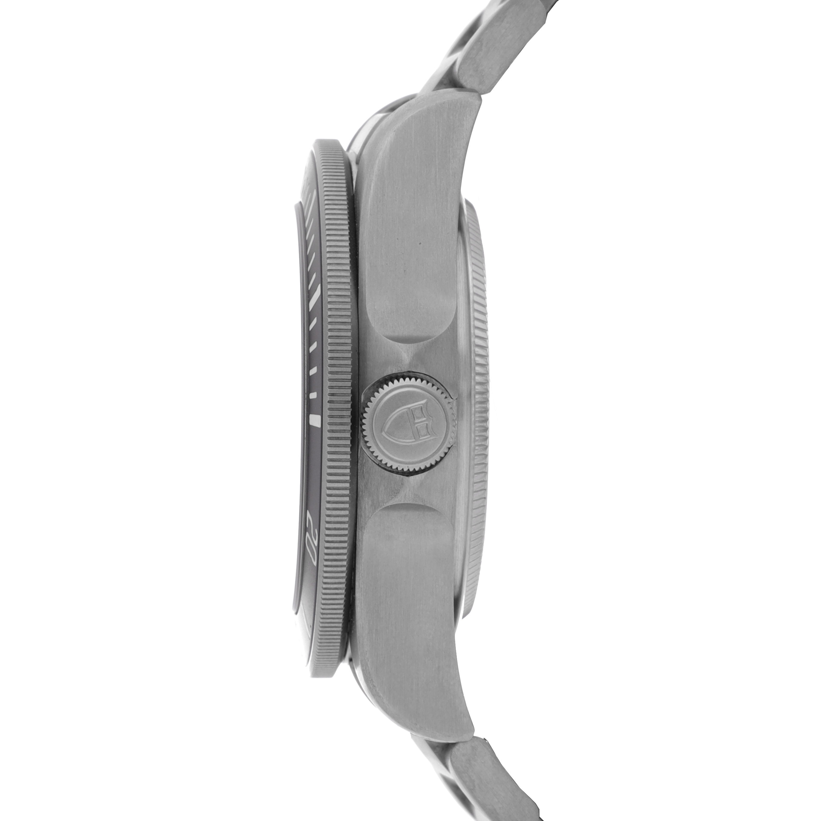 Tudor Pelagos 25600TN
