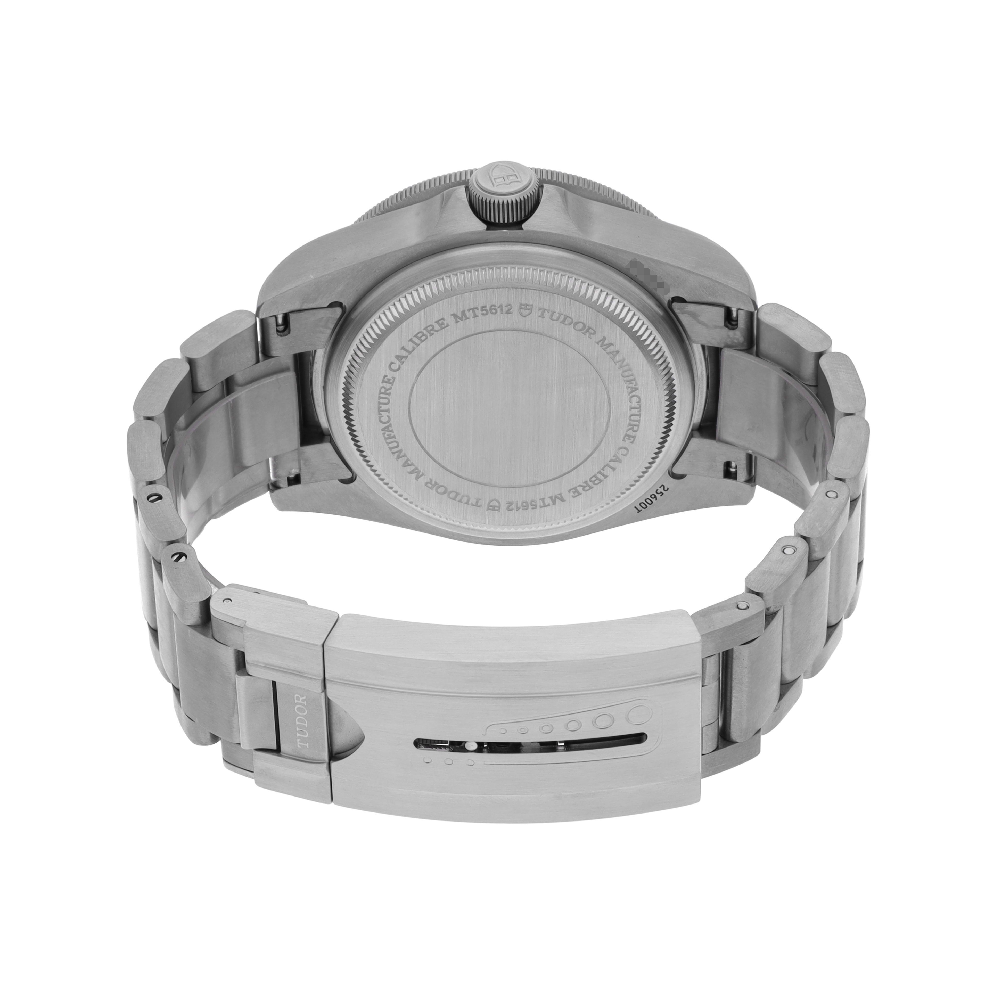 Tudor Pelagos 25600TN