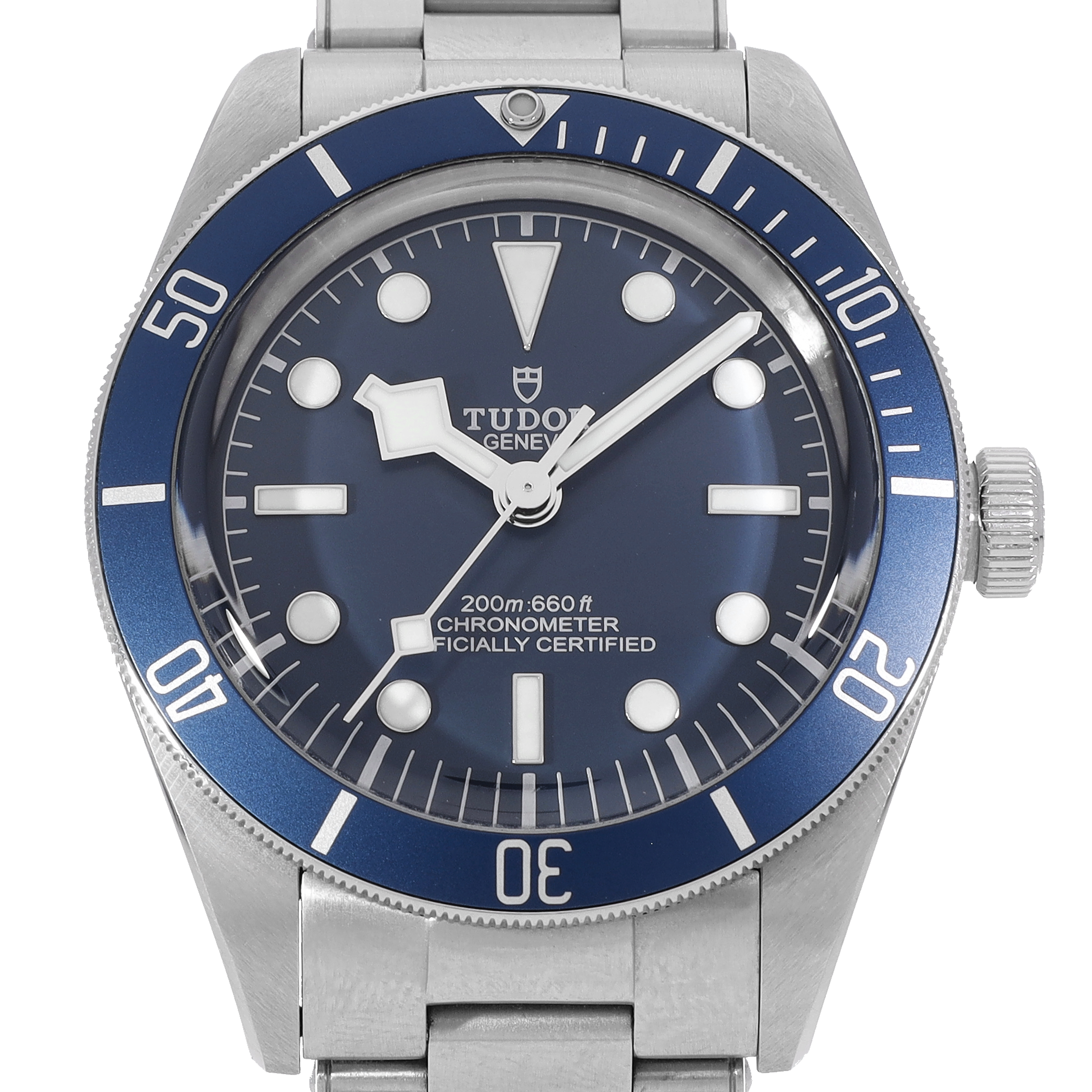 Tudor Black Bay M79030B