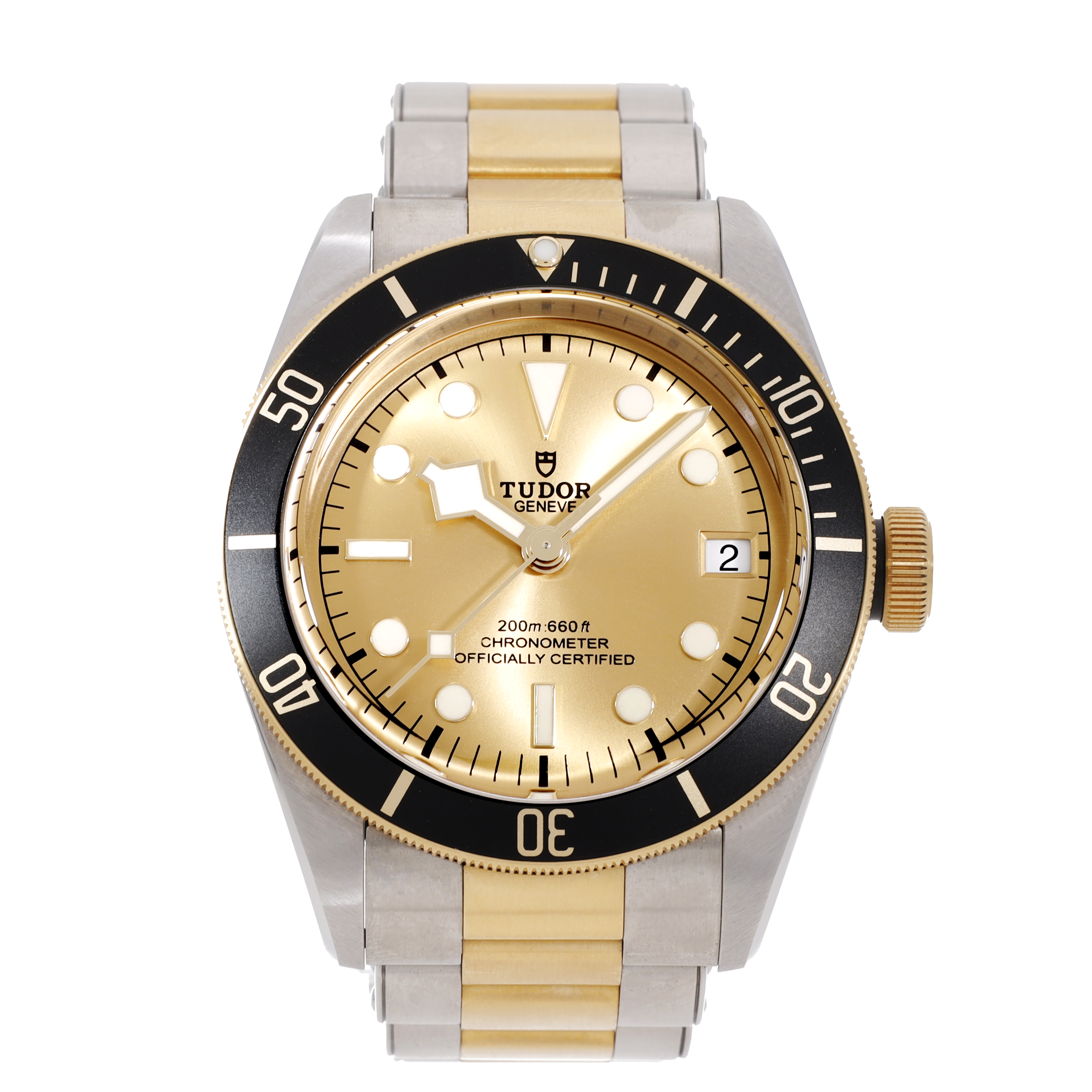 Tudor Black Bay 79733N