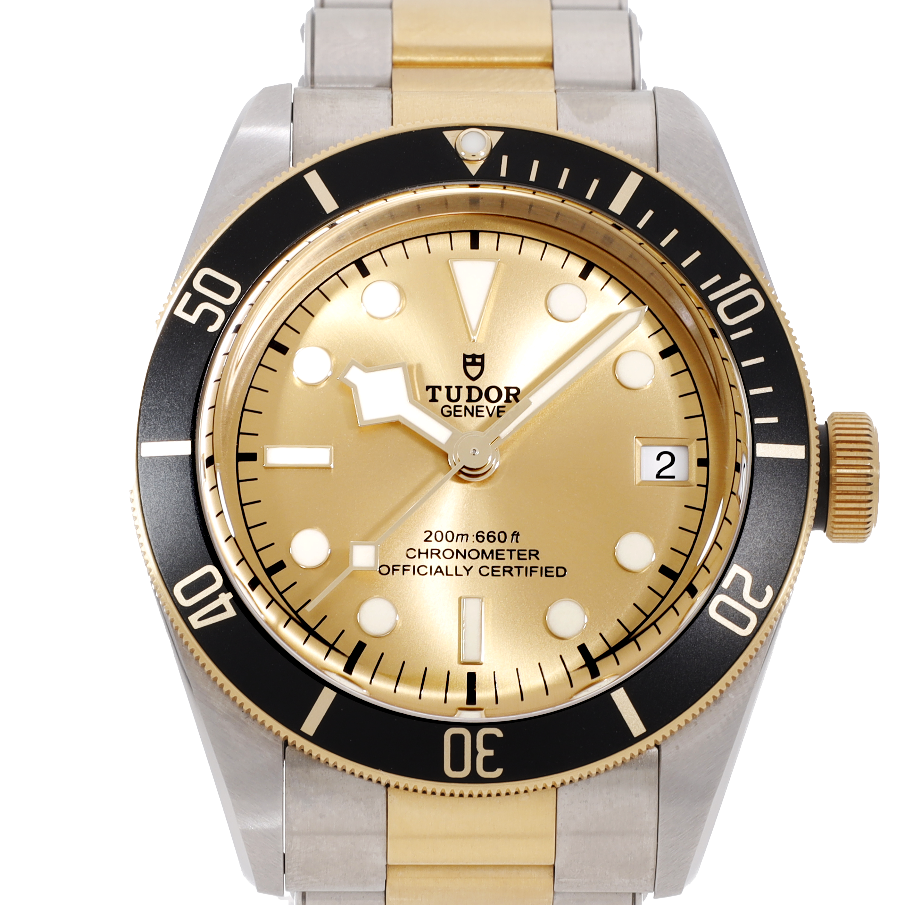 Tudor Black Bay 79733N