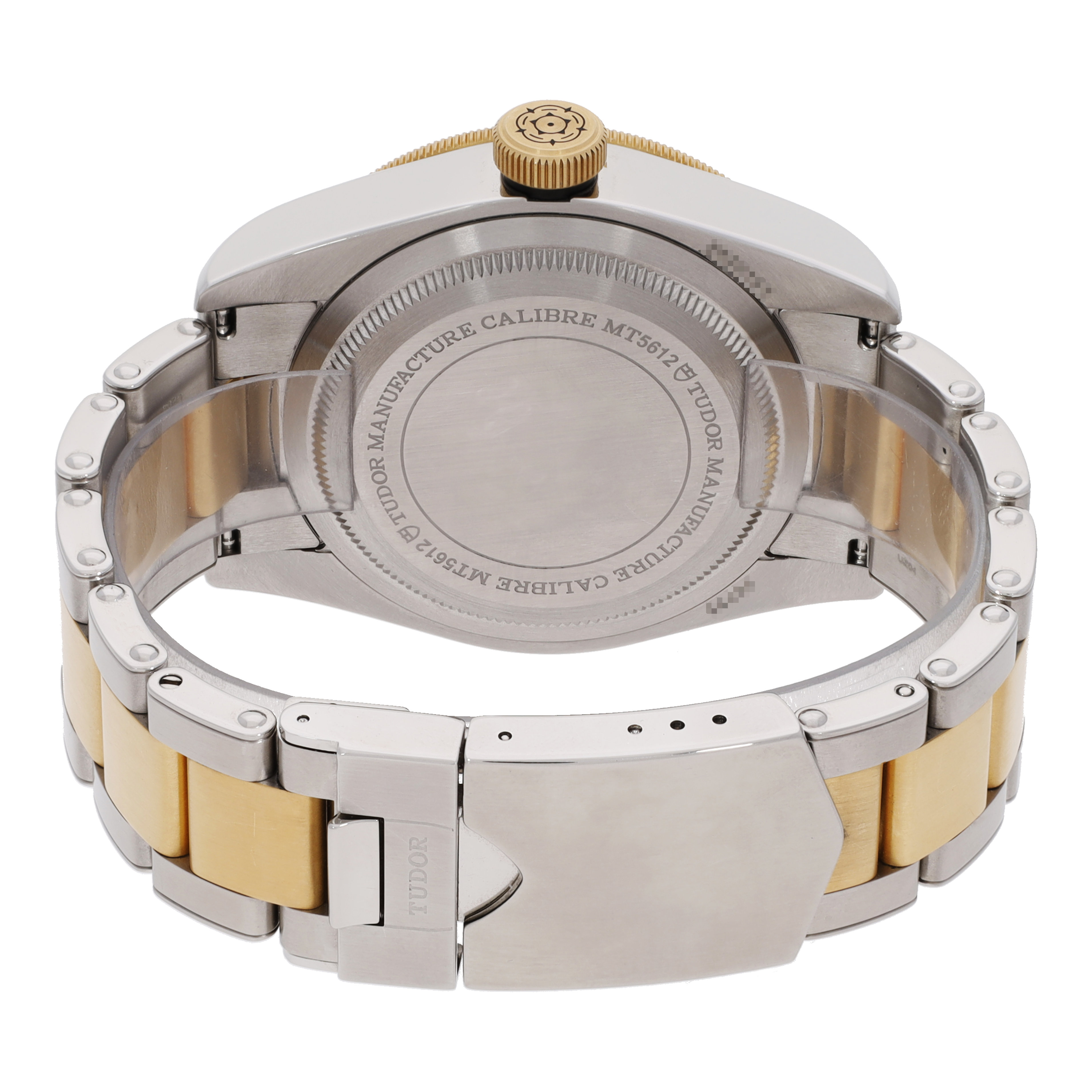 Tudor Black Bay 79733N