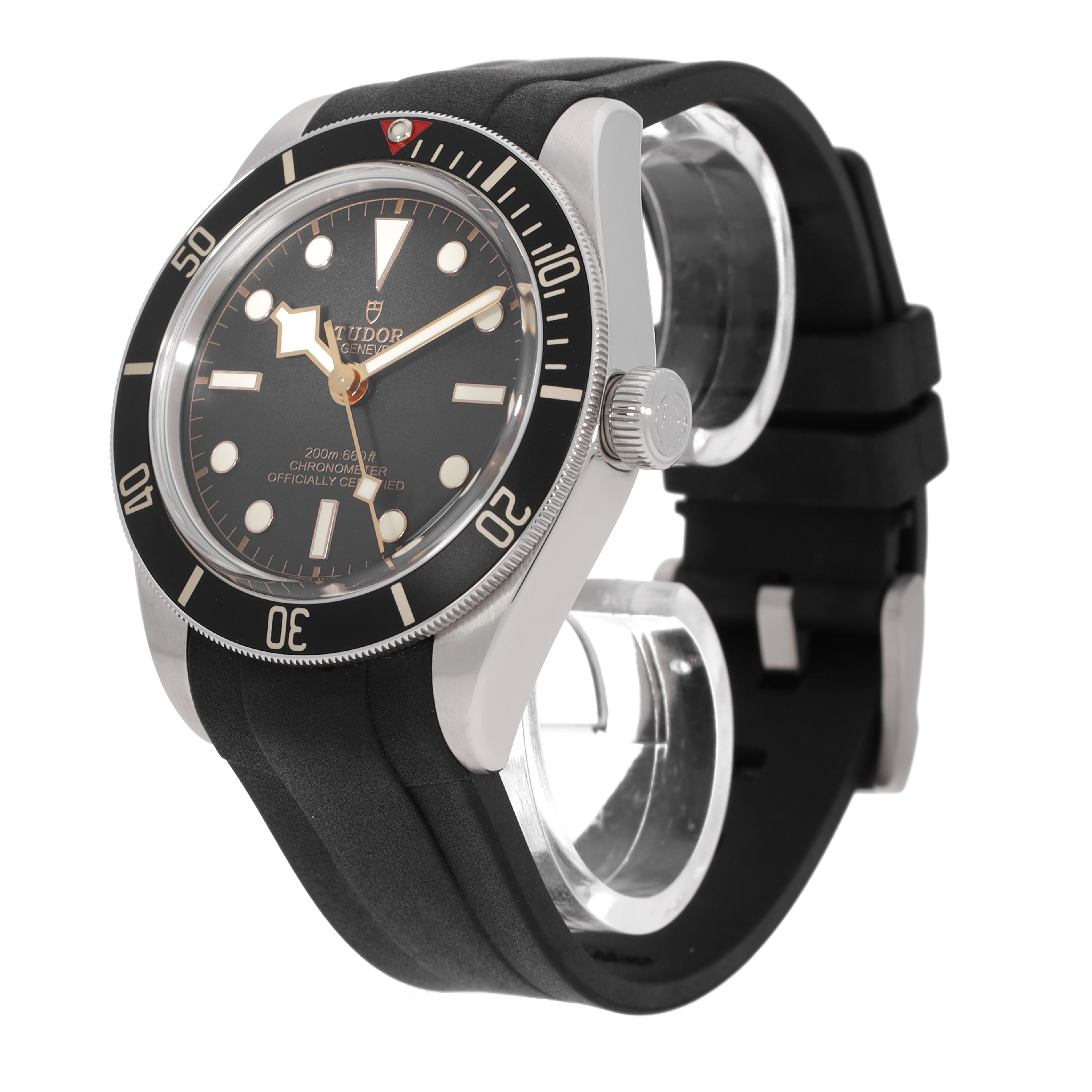 Tudor Black Bay 79030N