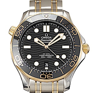 Omega Seamaster 210.20.42.20.01.002