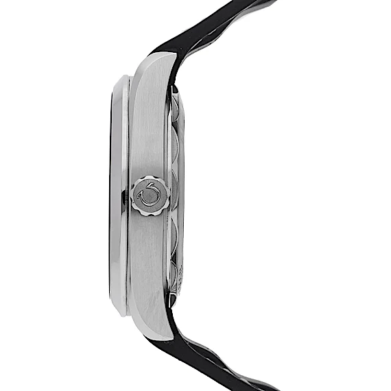 Omega Seamaster 220.12.41.21.01.001 Omega Seamaster 220.12.41.21.01.001