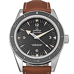 Omega Seamaster 233.32.41.21.01.002