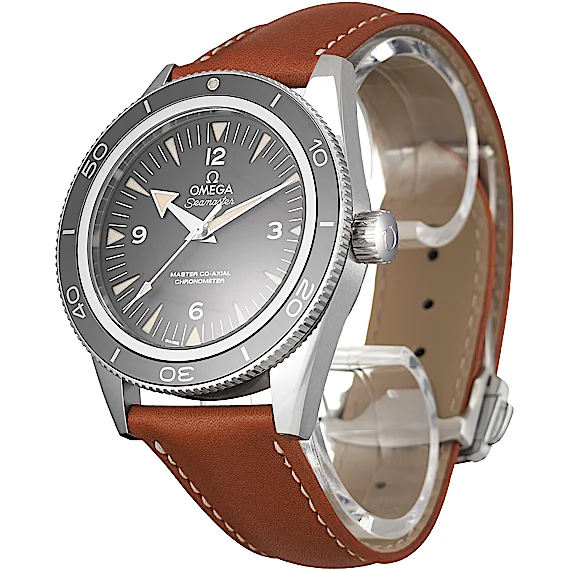 Omega Seamaster 233.32.41.21.01.002 Omega Seamaster 233.32.41.21.01.002