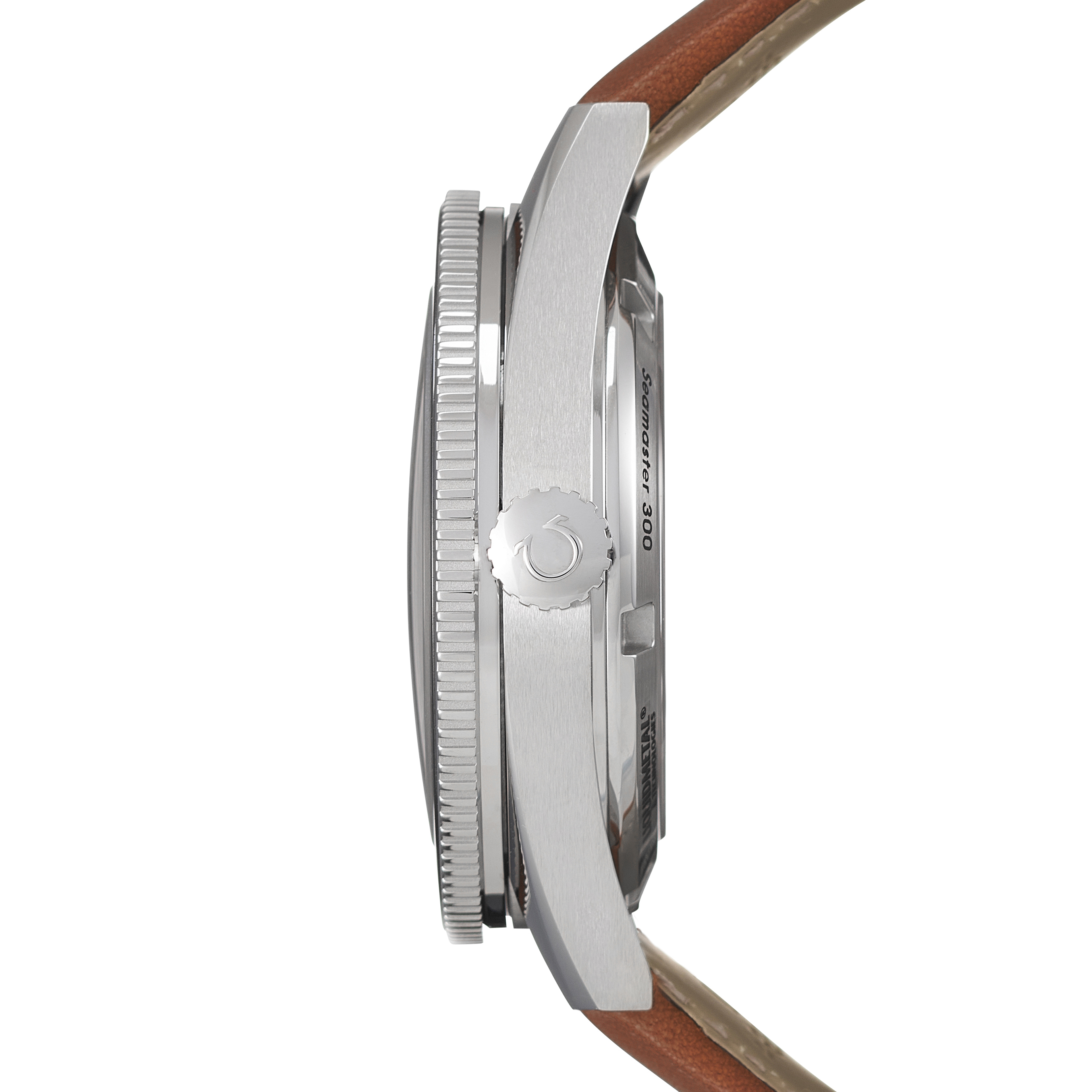 Omega Seamaster 233.32.41.21.01.002