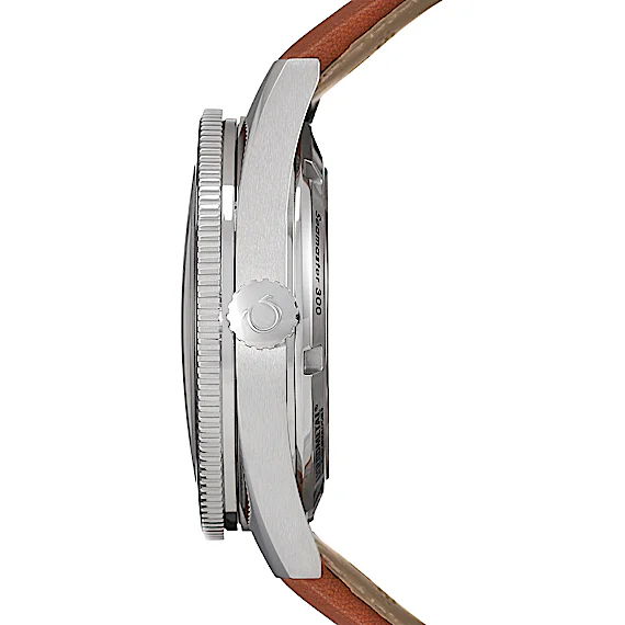 Omega Seamaster 233.32.41.21.01.002 Omega Seamaster 233.32.41.21.01.002