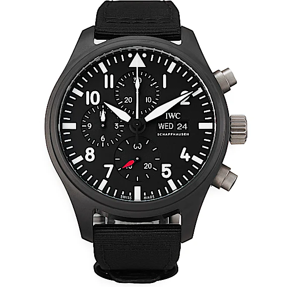 IWC Pilot's Watch IW389101 IWC Pilot's Watch IW389101