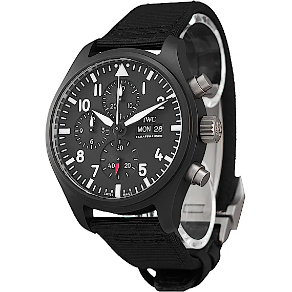 IWC Pilot's Watch IW389101 IWC Pilot's Watch IW389101