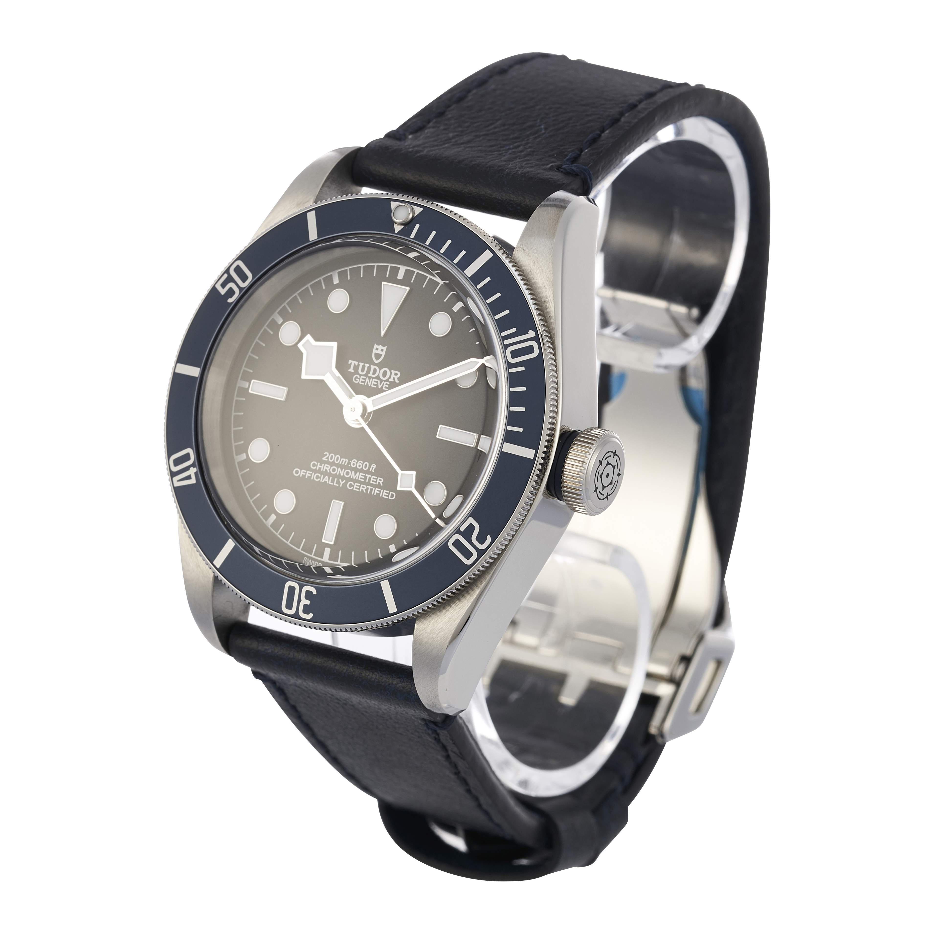 Tudor Black Bay 79230B