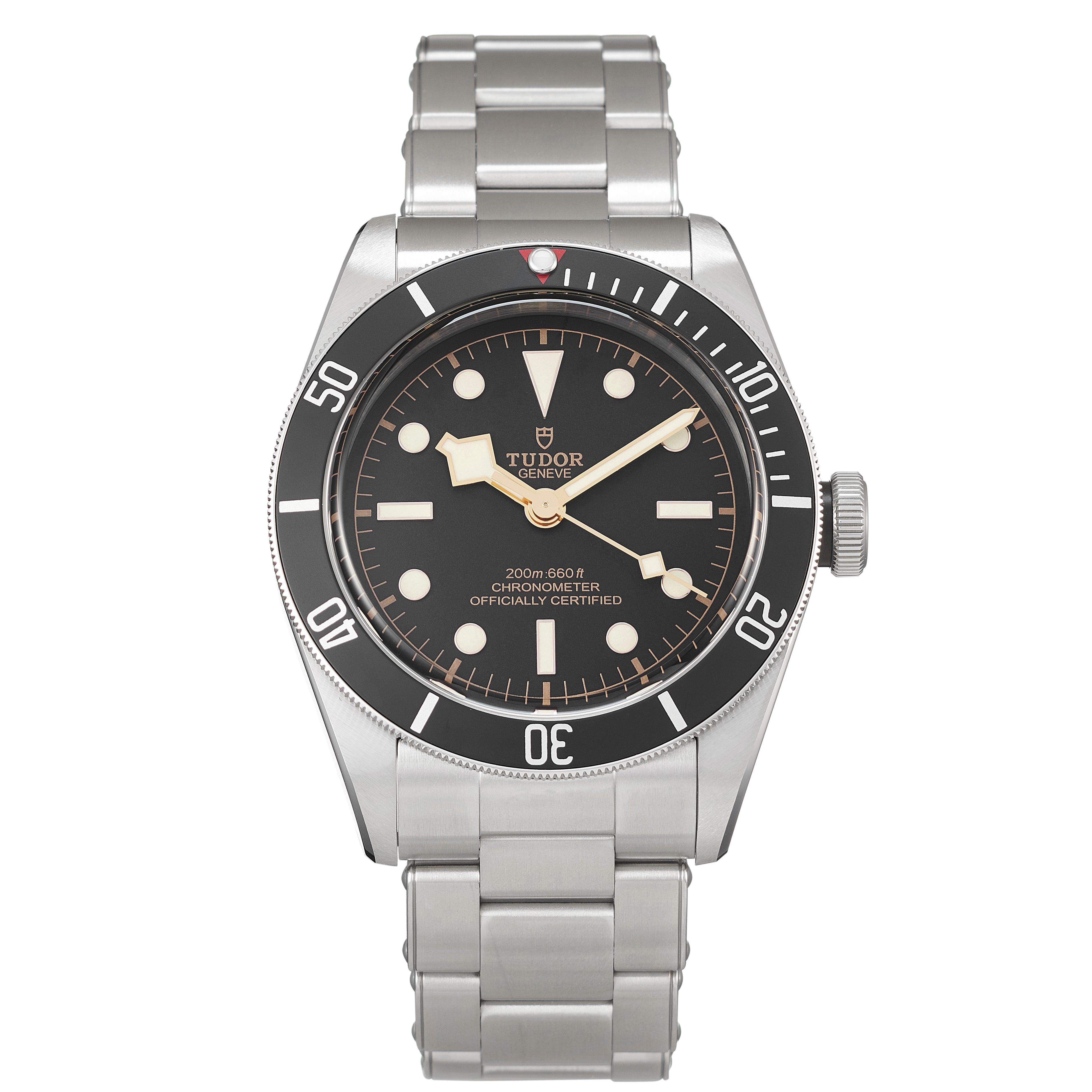 Tudor Black Bay 79230N