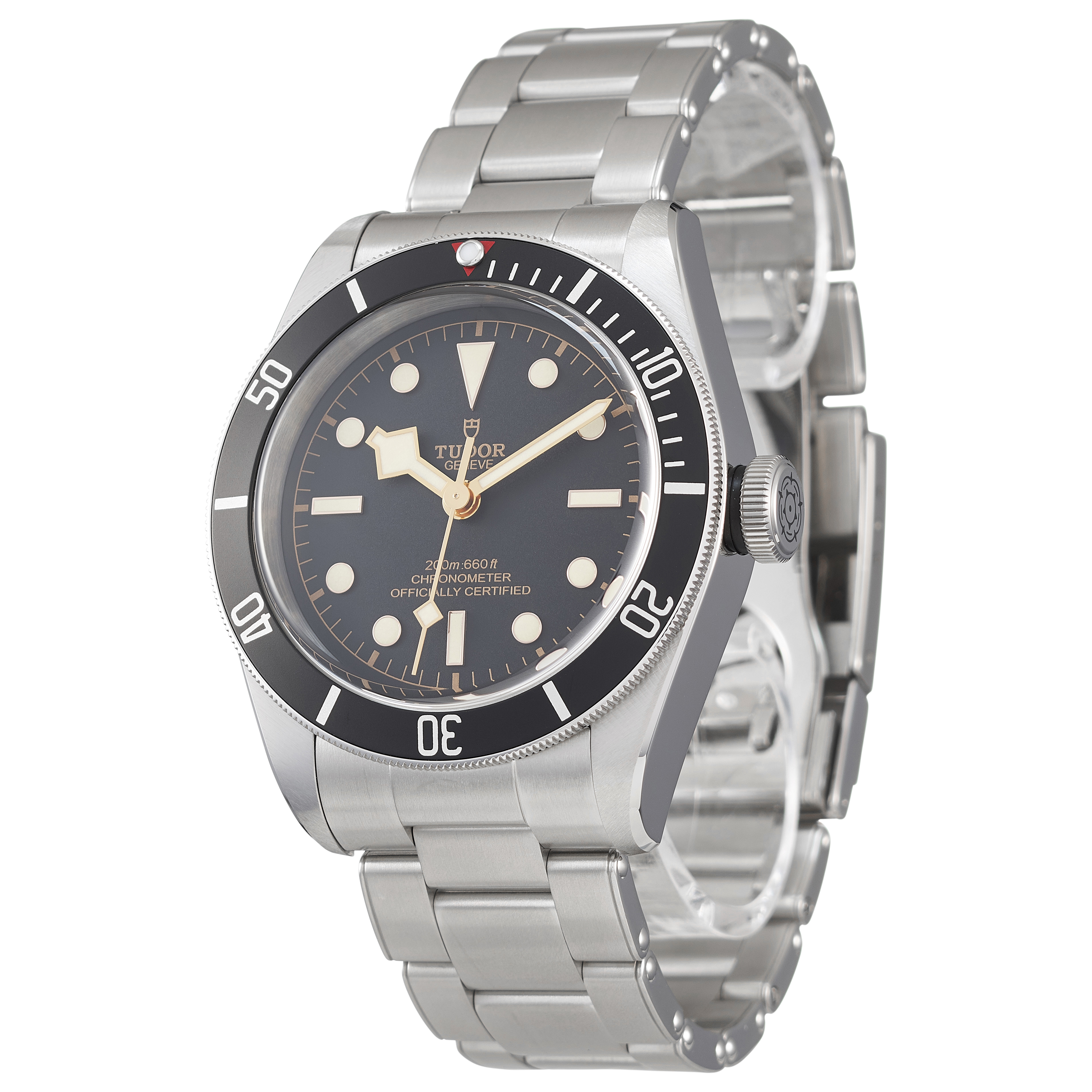 Tudor Black Bay 79230N