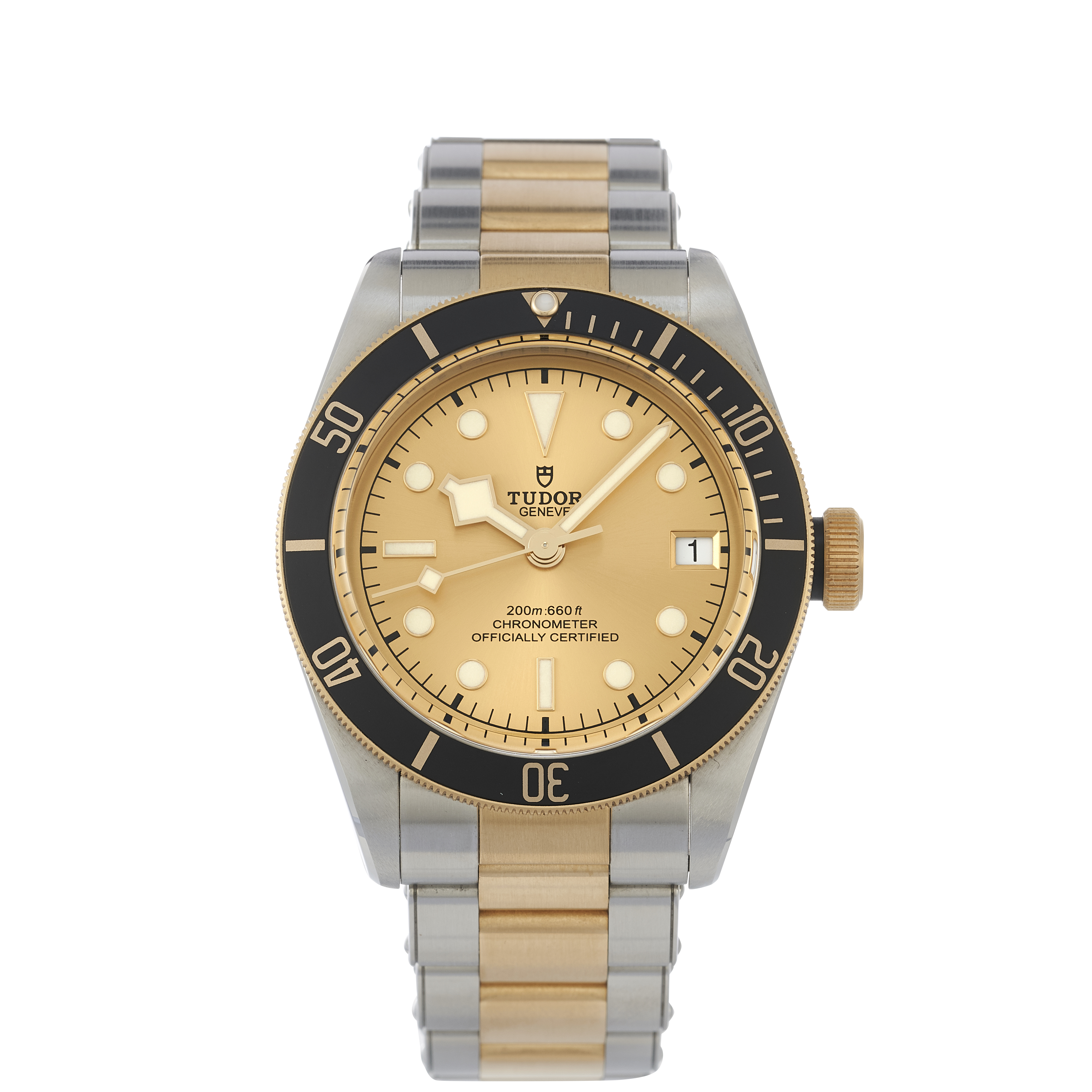 Tudor Black Bay 79733N