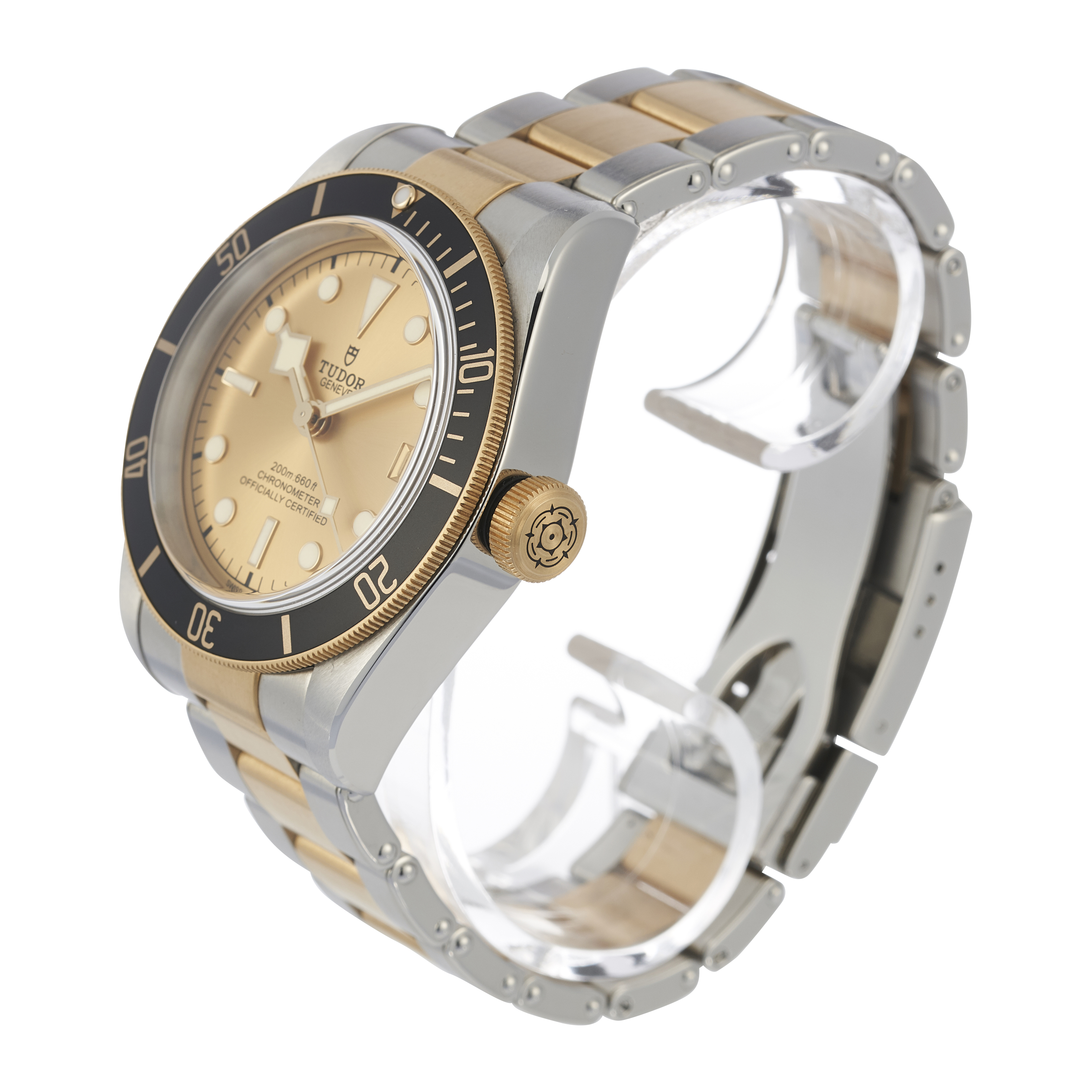 Tudor Black Bay 79733N